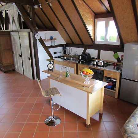 Gite Des Chateaux-Forts Obersteinbach エクステリア 写真